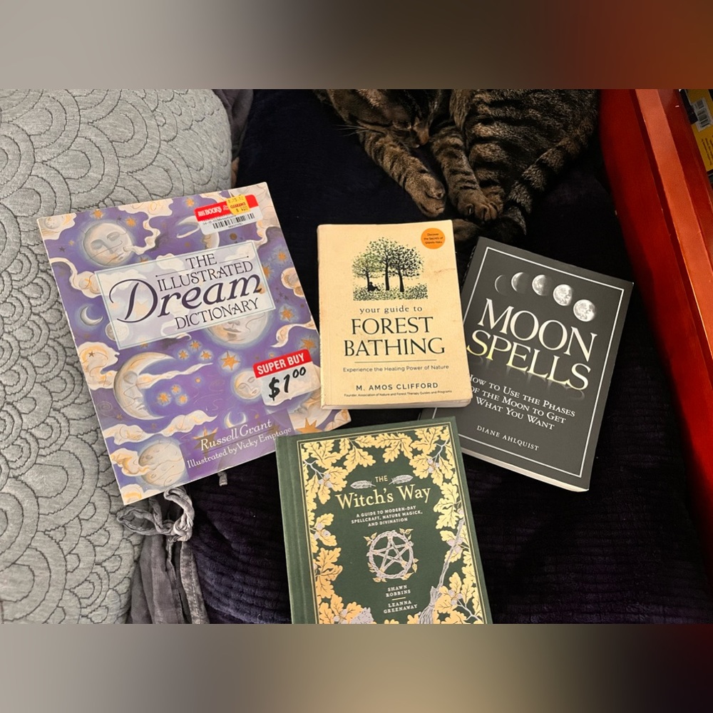 Witchy Occult Book Bundle Lot of 4